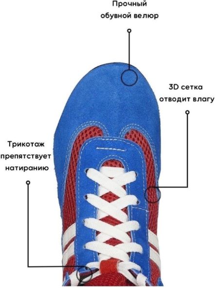 Самбовки БНЗ-05СК синий/красный
